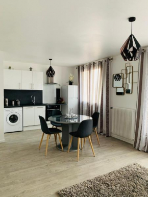 APPARTEMENT COEUR de ROANNE